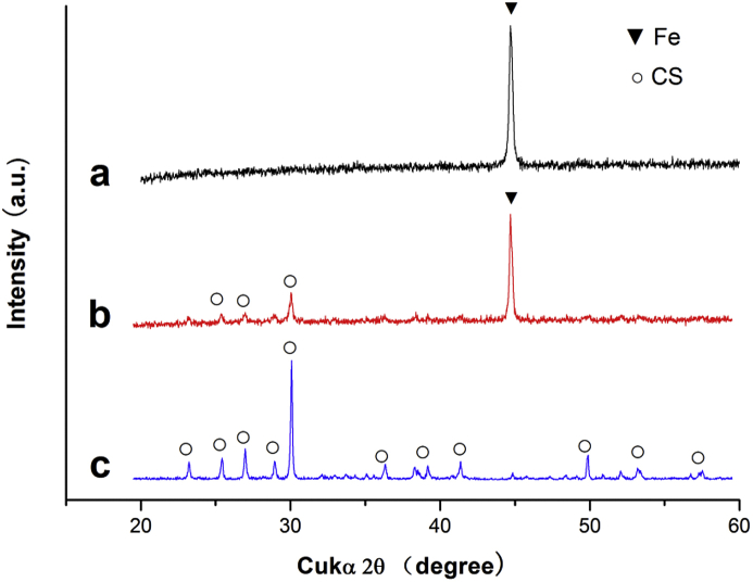 Fig. 1