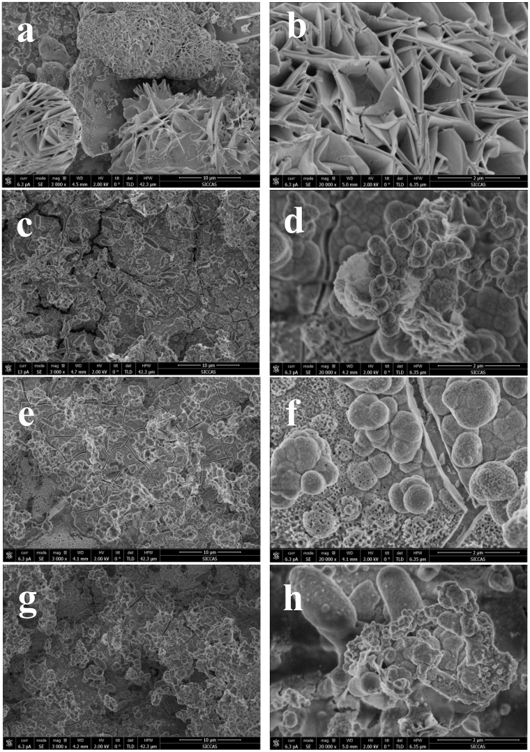 Fig. 5