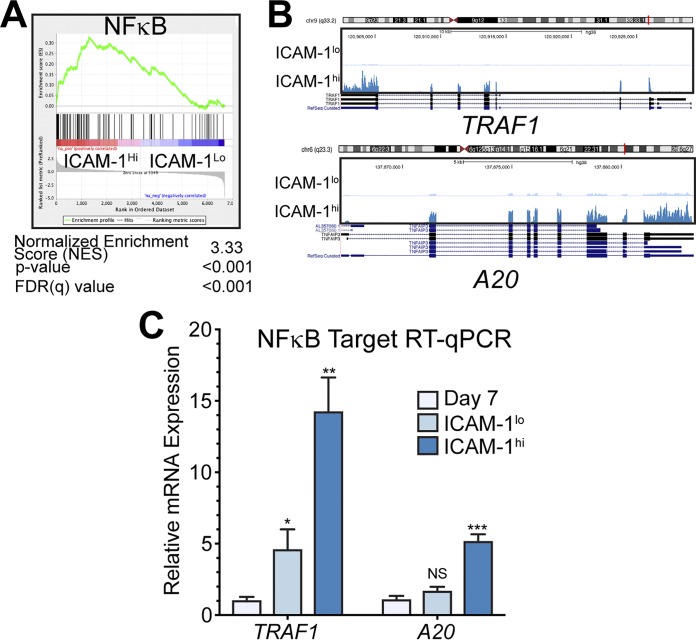 FIG 2