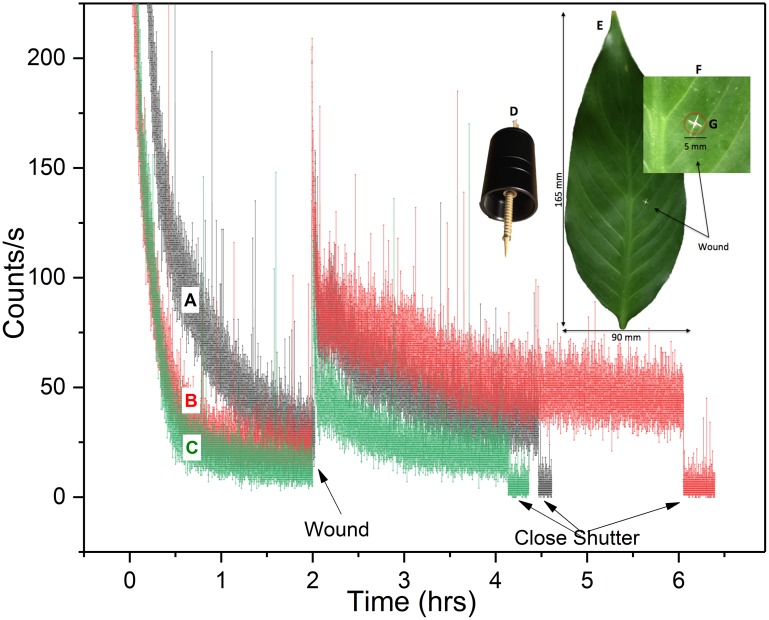 Fig 4