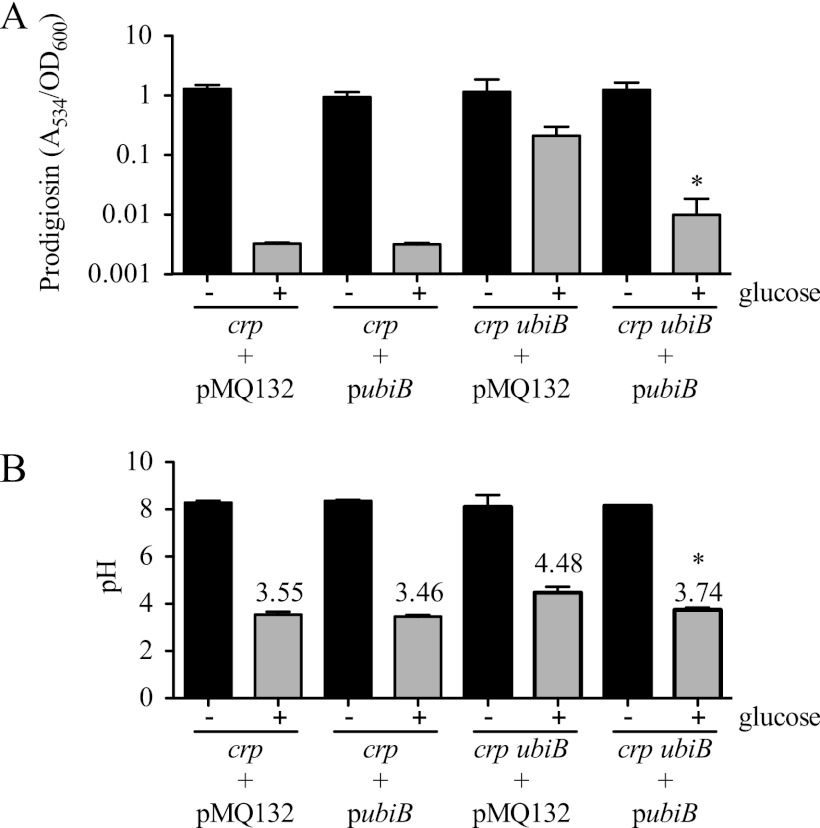 Fig 6