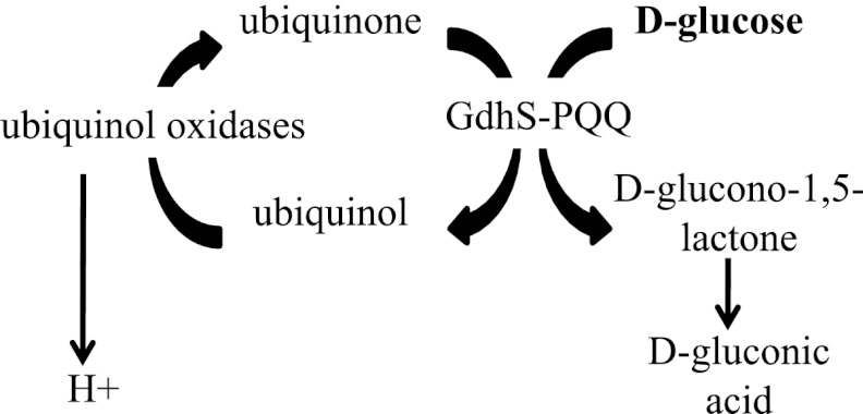 Fig 2