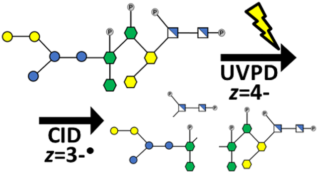 graphic file with name nihms-1036758-f0001.jpg