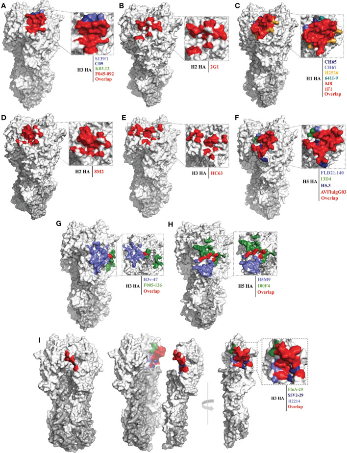 Figure 2