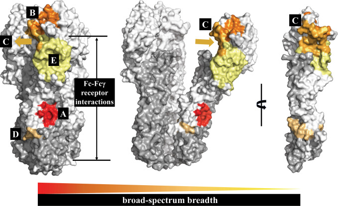 Figure 4