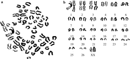 Fig. 5