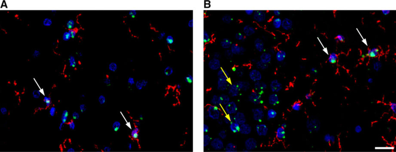 FIGURE 3