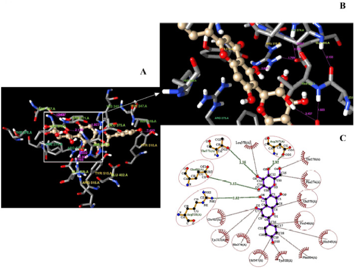 Figure 2.