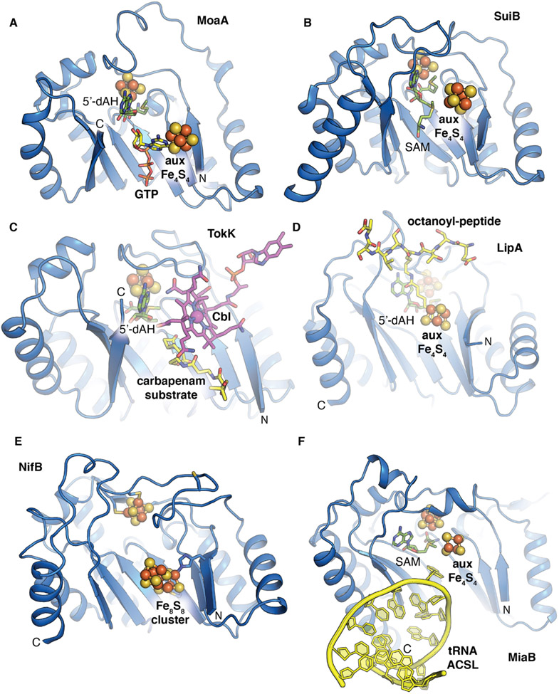 Figure 3.