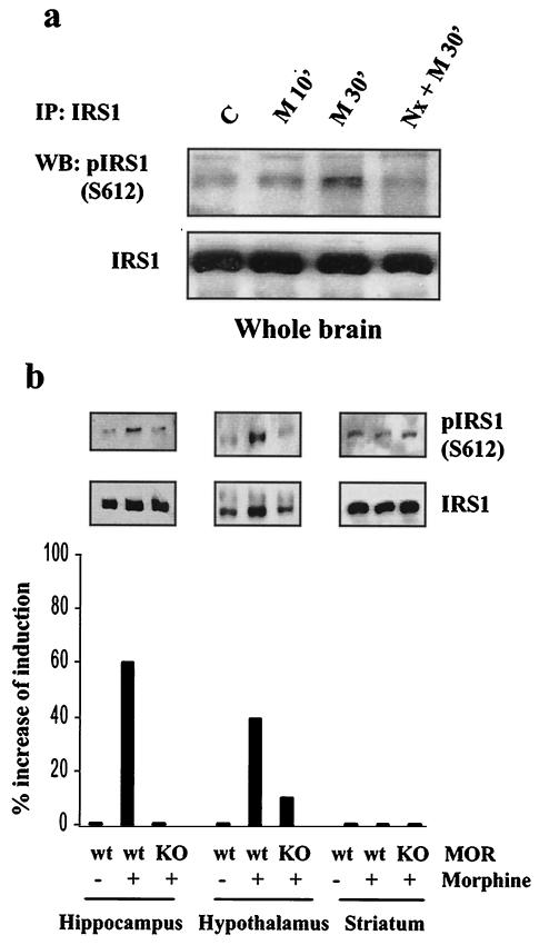 FIG. 9.