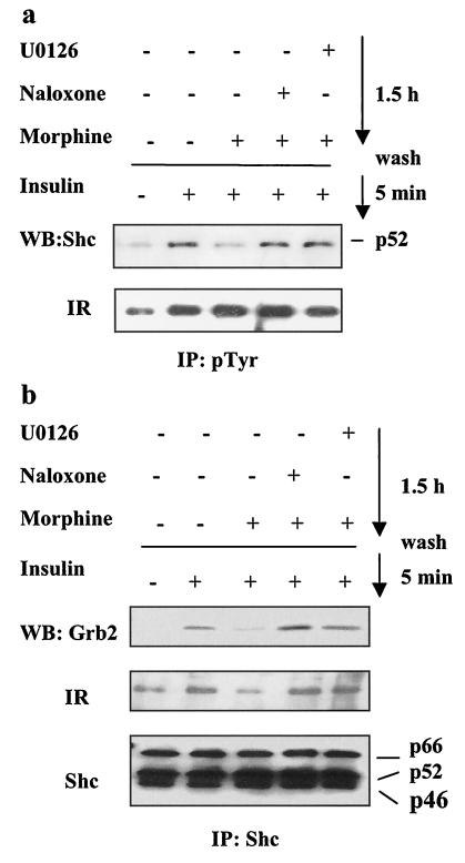 FIG. 8.