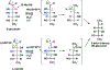 Scheme 3.