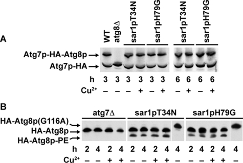 Figure 6.