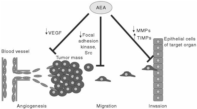 Figure 18.3