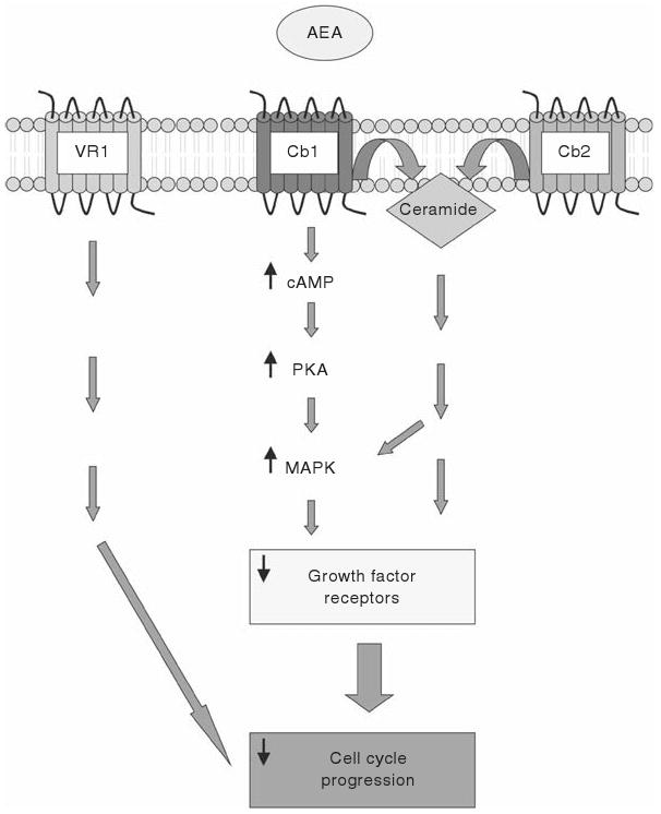 Figure 18.1