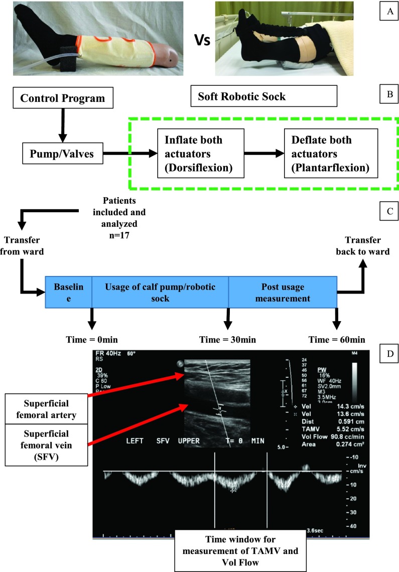 FIGURE 1.