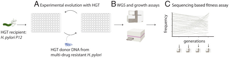 Fig. 1.