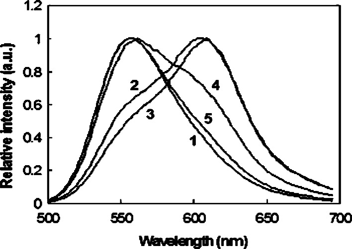 Fig. 4