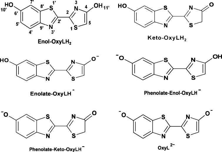 Fig. 6