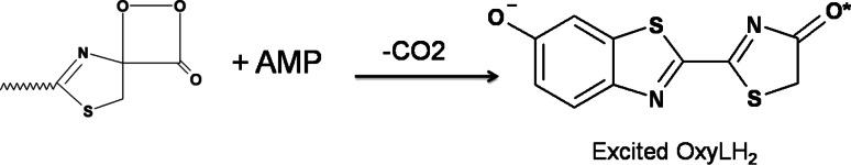 Scheme 2