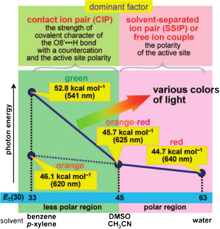 Fig. 8