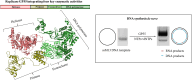 Graphical Abstract