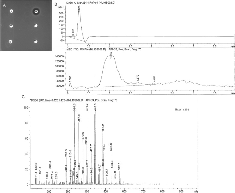 Fig. 2