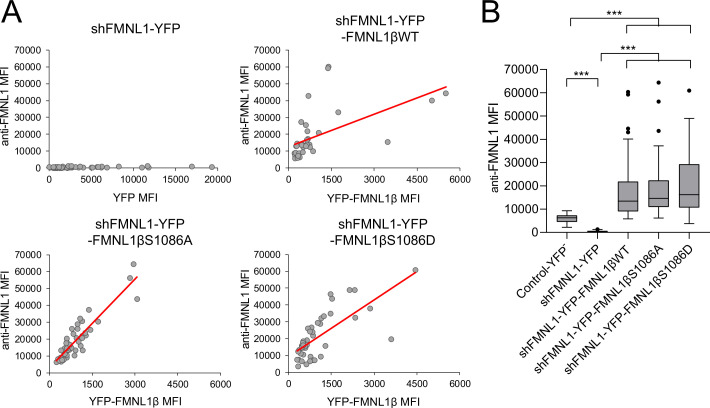 Figure 2—figure supplement 1.