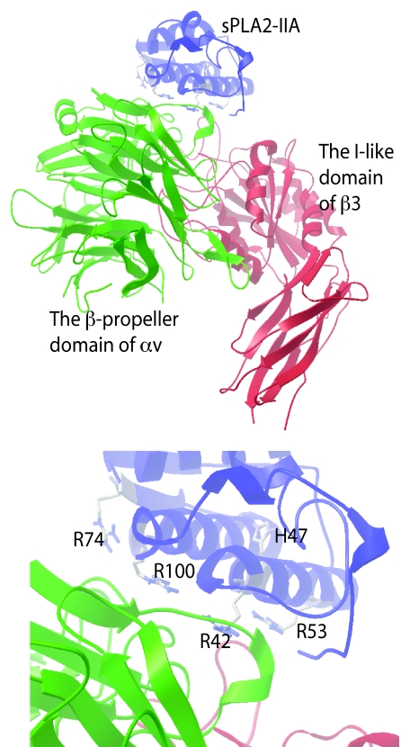 FIGURE 2.