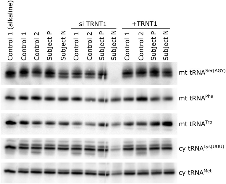 Figure 4.