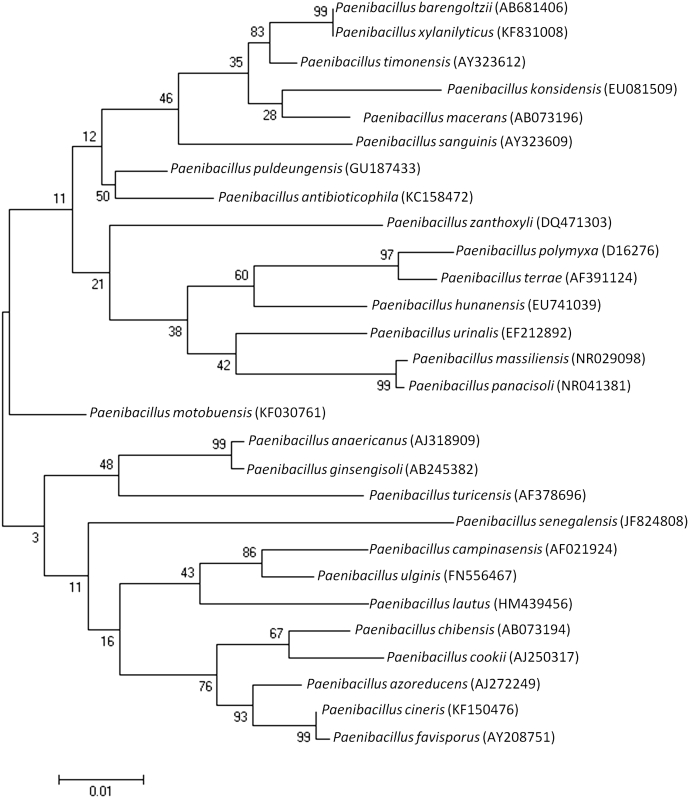 Fig. 1