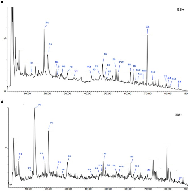 FIGURE 1