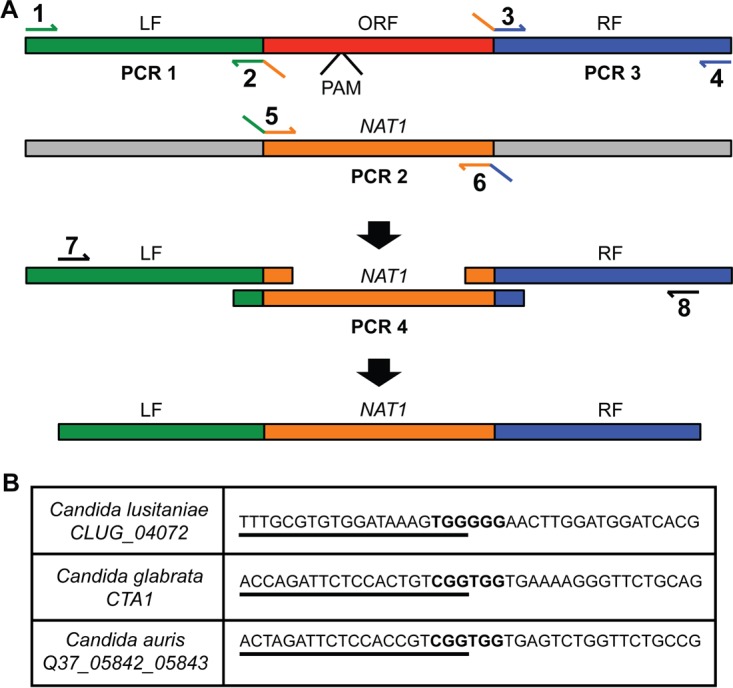 FIG 1 