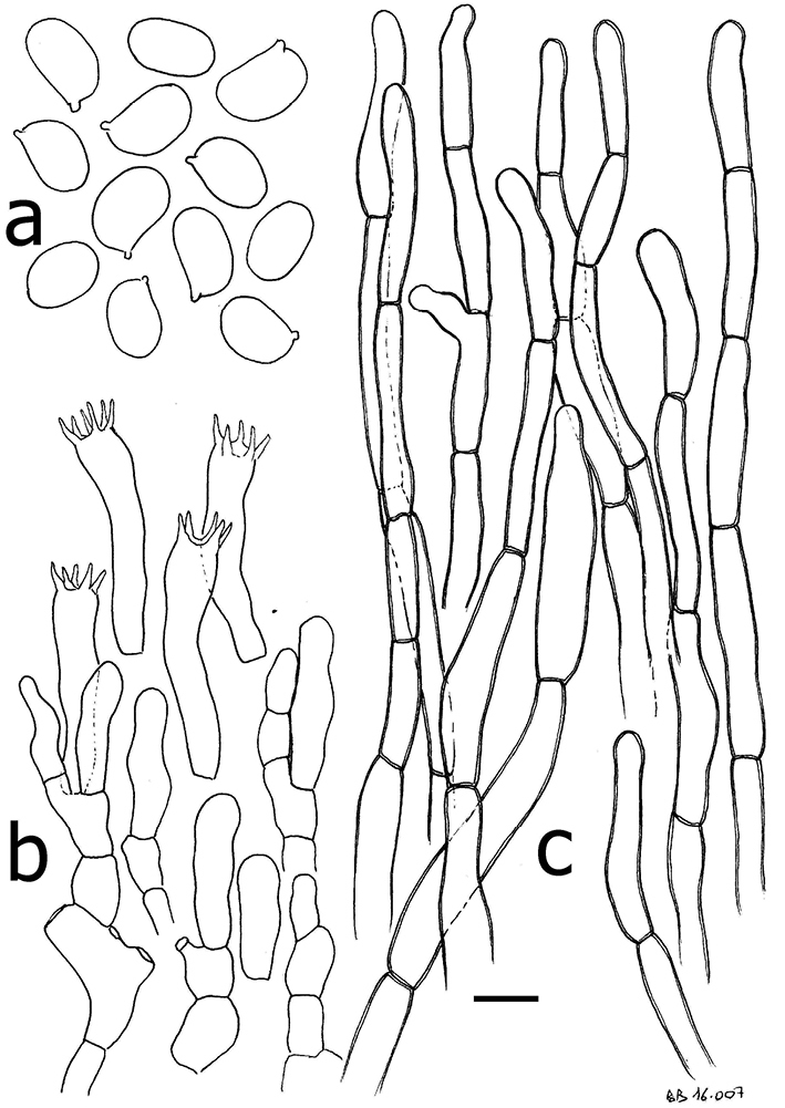 Figure 8.