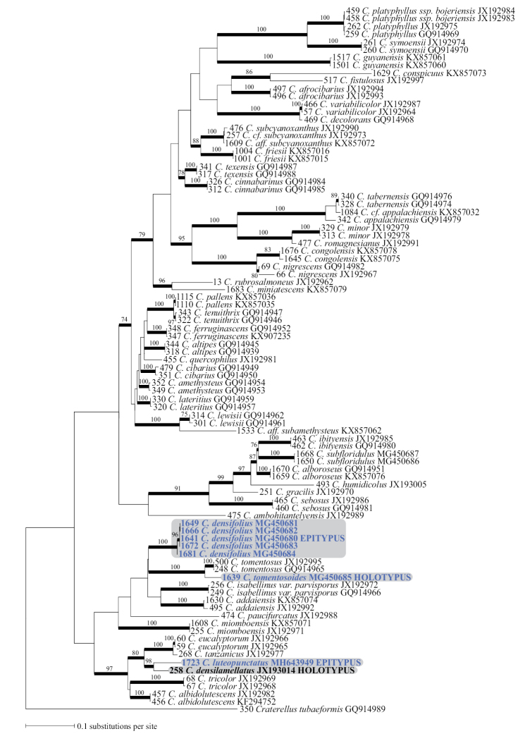 Figure 1.