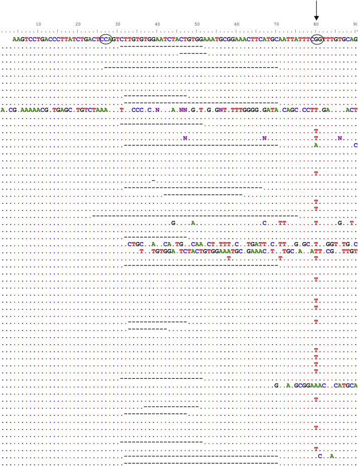 Supplementary Figure E2