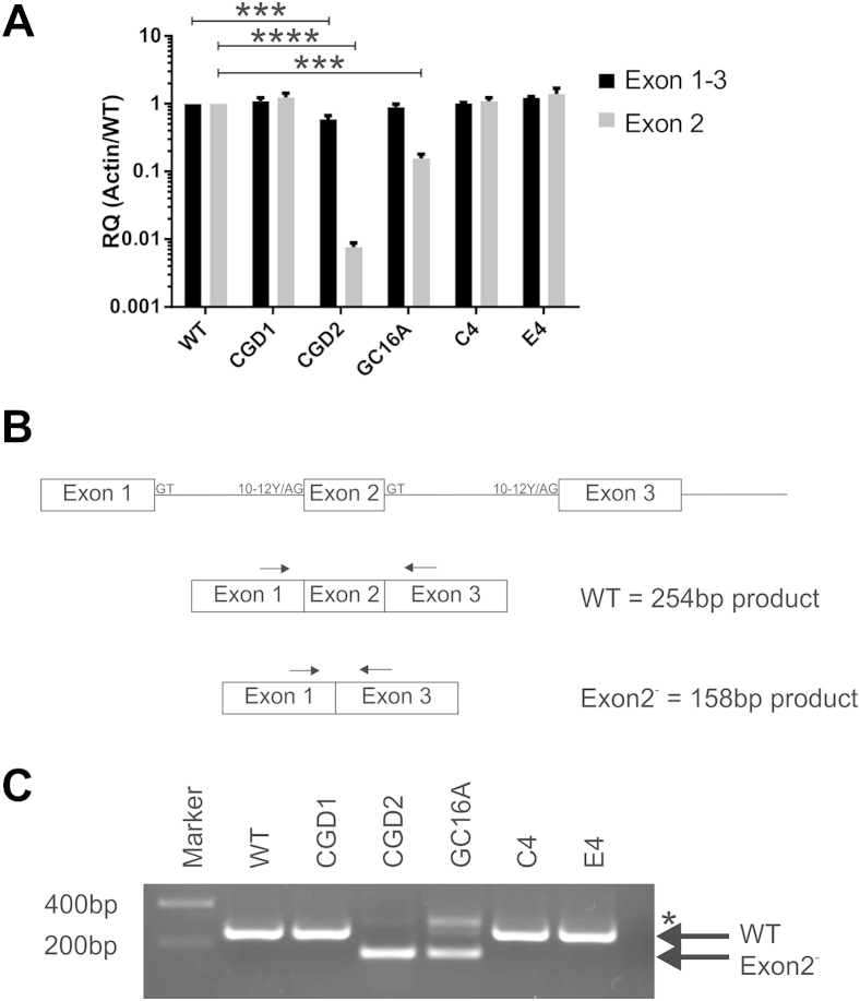 Figure 6