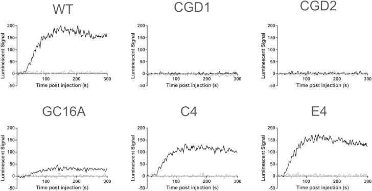 Figure 5