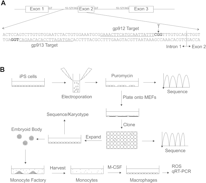 Figure 2