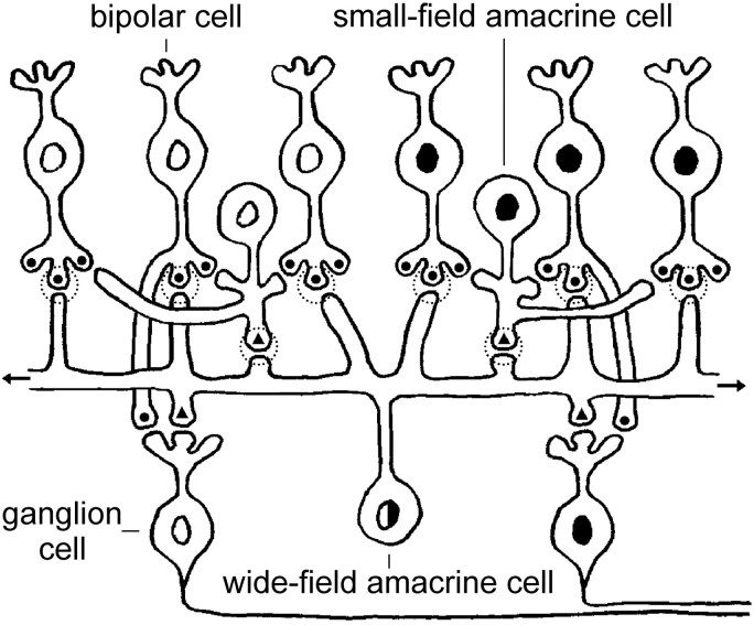 Fig. 10.