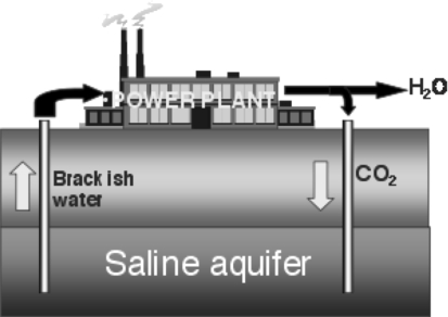 Fig. 8