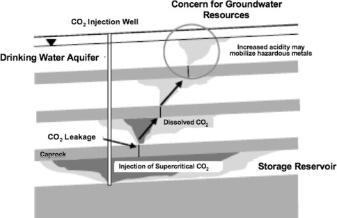 Fig. 7