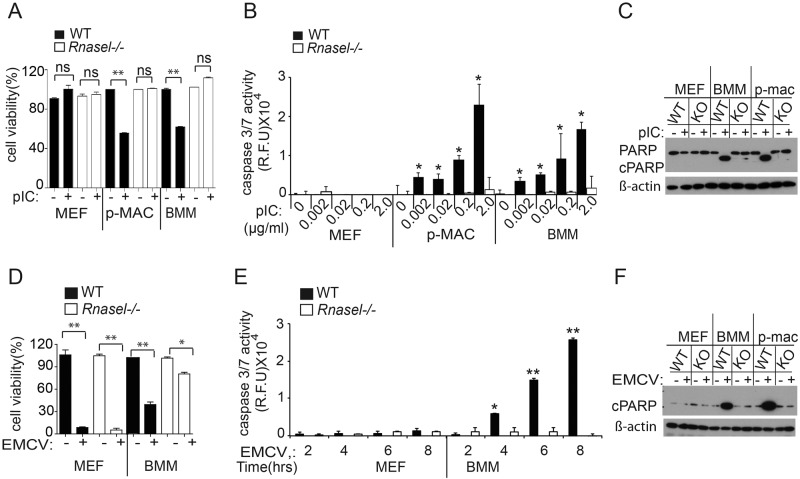 FIG 2 