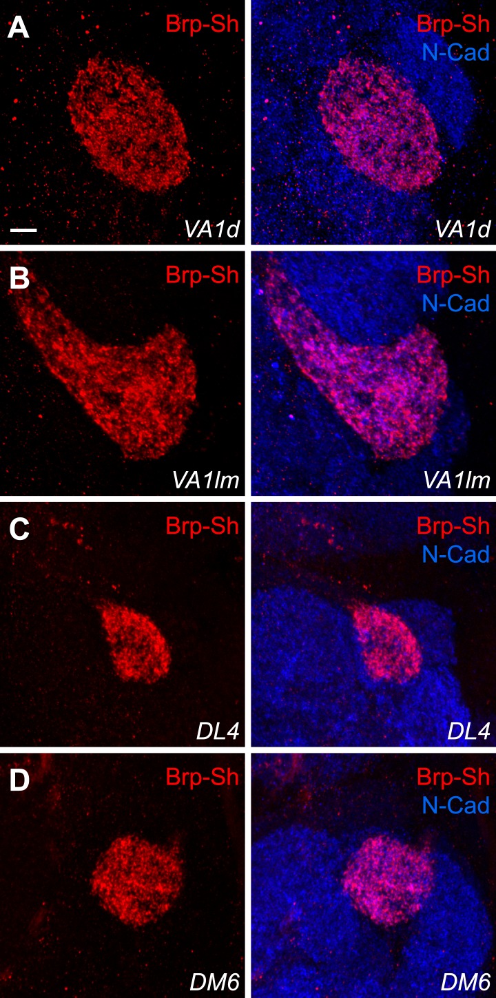 Figure 1—figure supplement 2.