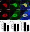 Figure 4—figure supplement 2.