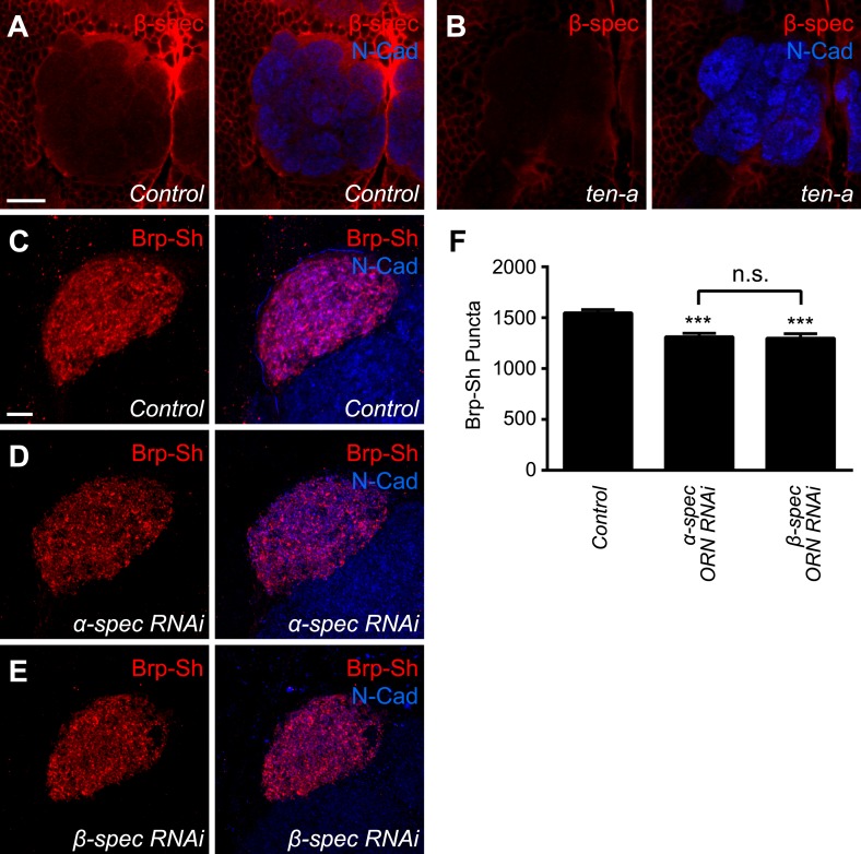 Figure 6—figure supplement 1.