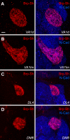 Figure 1—figure supplement 2.