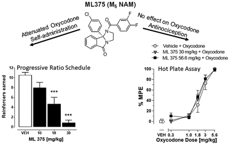 graphic file with name nihms-1610640-f0001.jpg