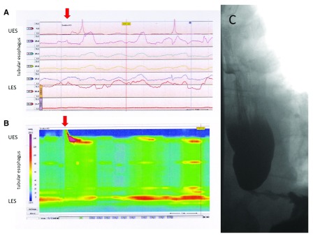 Figure 2. 