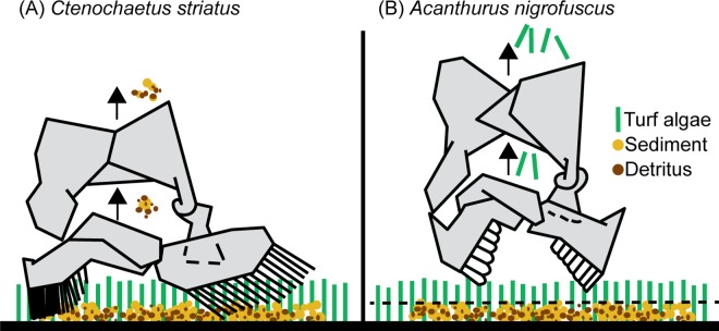 Fig 4